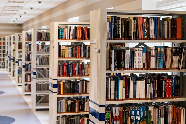 Videocamere nella biblioteca comunale